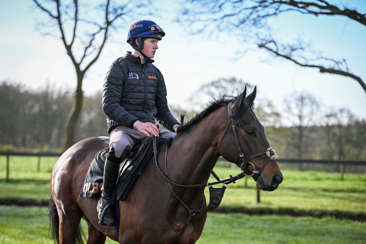 Today we head to @TauntonRacing to run Lario for the new @OLBG racing club. Best of luck to everyone involved. Read my thoughts ⬇️ harryderhamracing.com/taunton-thursd…