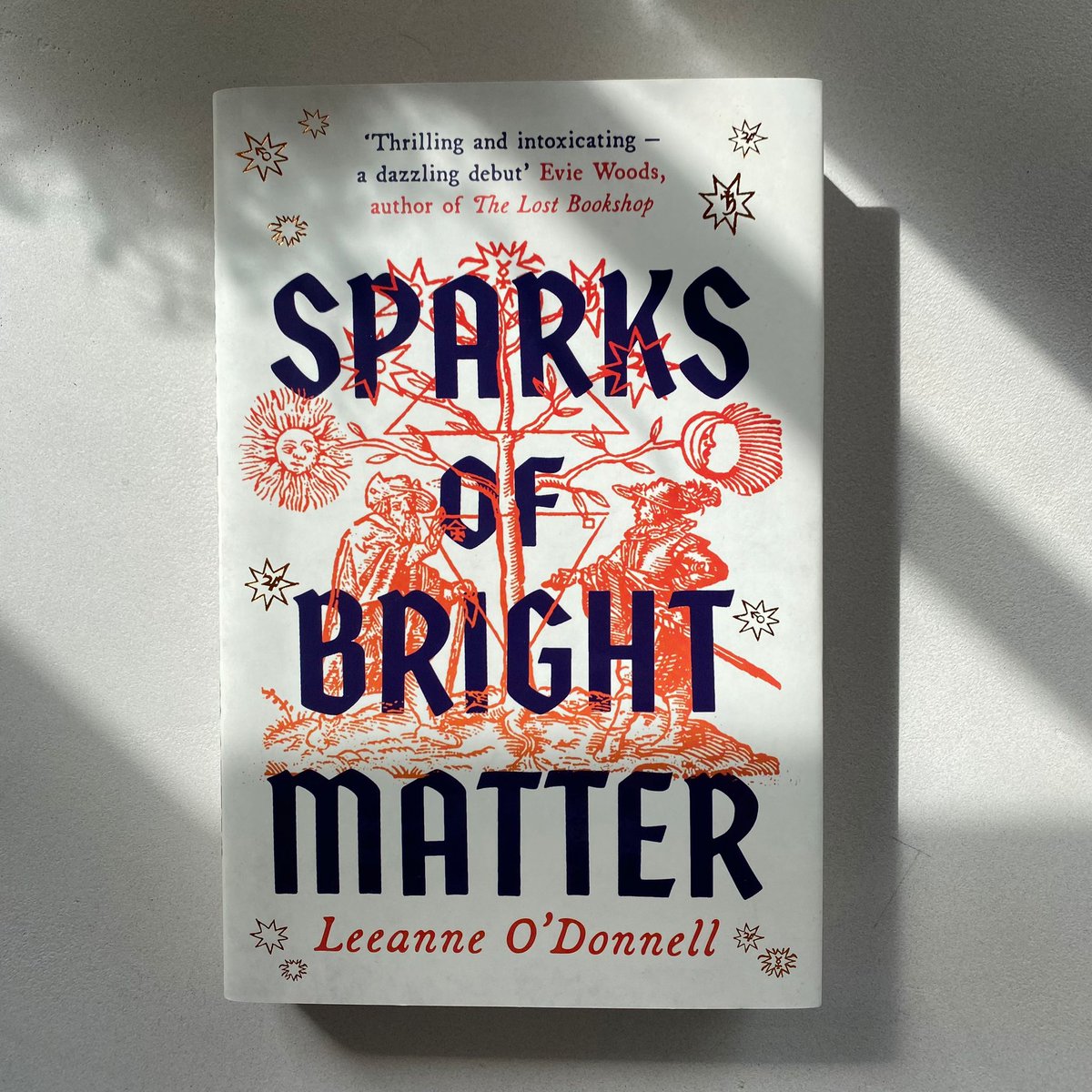 'A debut novel of great imagination and originality' @thetimes ✨ The luminous Sparks of Bright Matter is out today! Join the last alchemist Peter Woulfe on his extraordinary hunt for The Mutus Liber, in this tale of love, lust, reality and magic. geni.us/SparksOfBright…