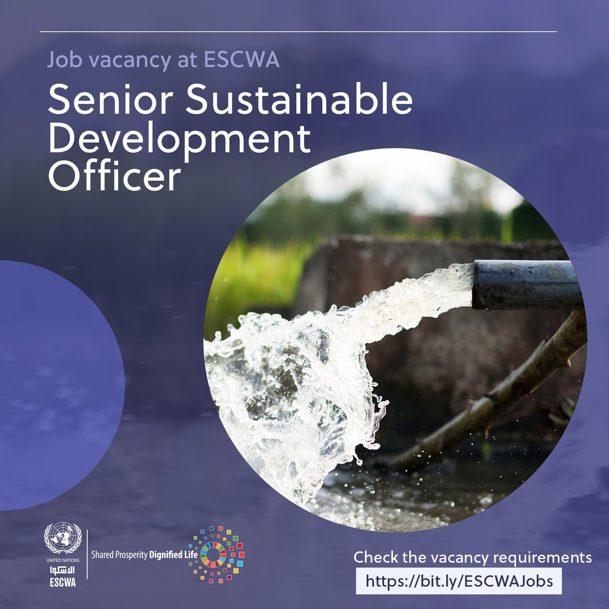 #ESCWA is hiring a Senior Sustainable Development Officer (Water) to work within the Climate Change and Natural Resource Sustainability Cluster. If you have 10+ years of experience in water-related issues, apply 👉 bit.ly/ESCWAJobs by 18 April.