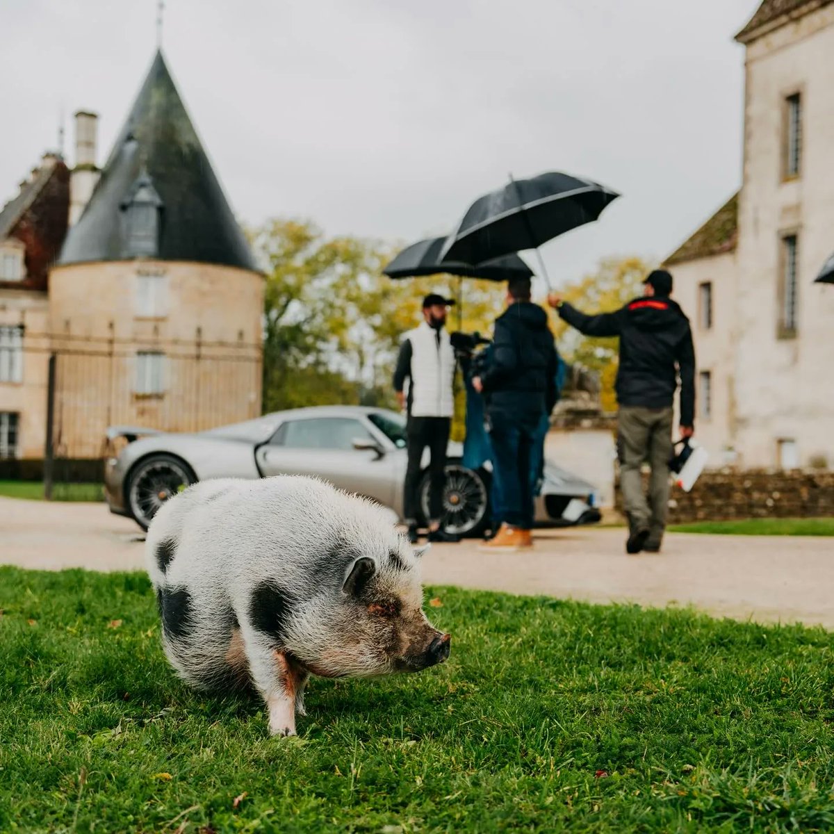 🔴 𝗧𝗢𝗣 𝗚𝗘𝗔𝗥 🚘 | Découvrez le château de Commarin dans l'émission 
@TopGear ce vendredi 12 avril à 21h10 sur @RMCDecouverte ! 💪 

Même Daisy était émerveillée par ces magnifiques voitures ! 😉 #TopGear #ChateaudeCommarin