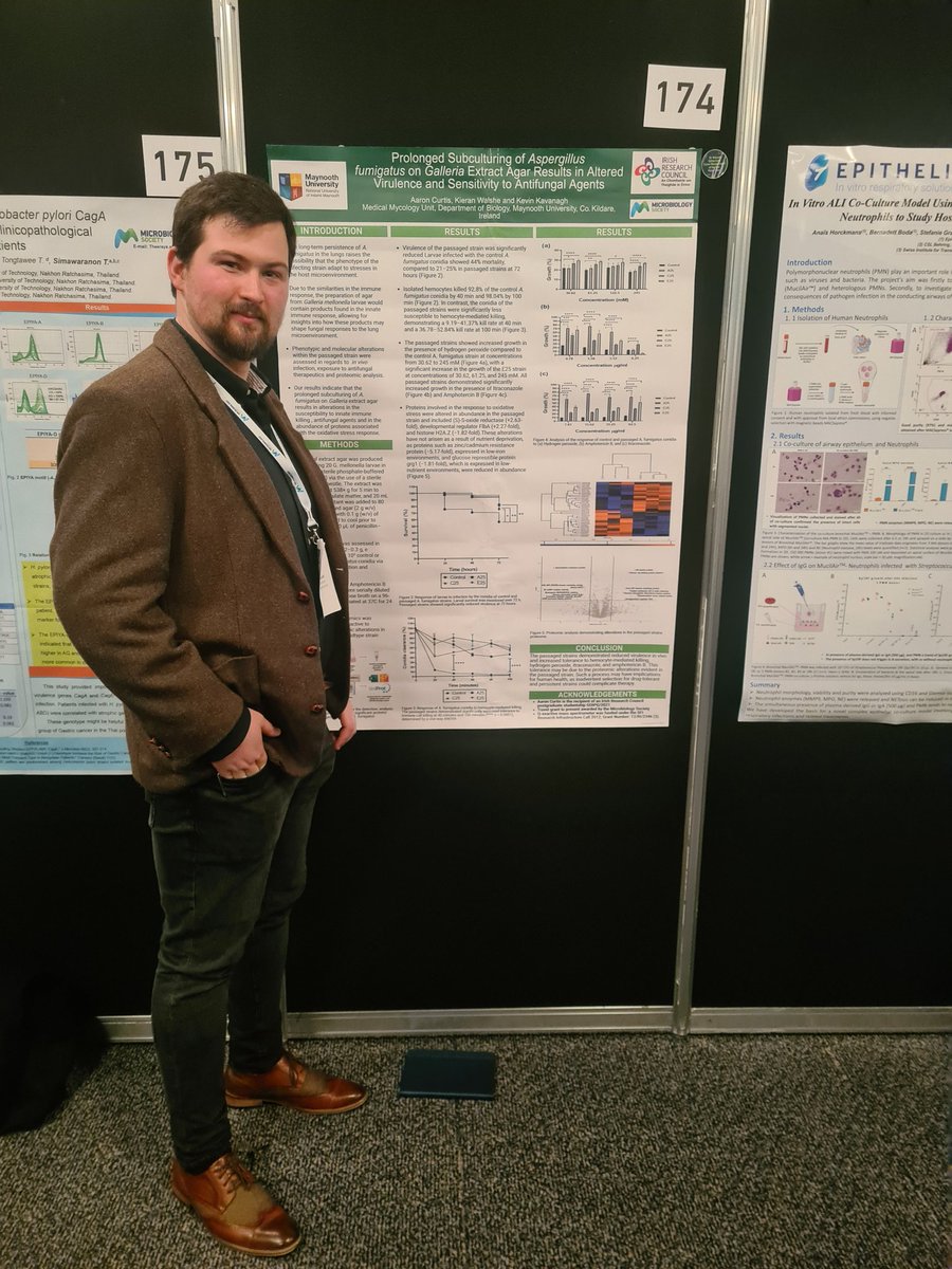 This week members of the Medical Mycology lab travelled to the <a href="/MicrobioSoc/">Microbiology Society</a> Annual Conference in Edinburgh to showcase our research. Well done to Pranay, <a href="/JoyHClarke/">Joy Clarke</a> and <a href="/AaronC_Mycology/">Aaron.curtis</a> 🎉👏

#Microbio24 #loveirishresearch
<a href="/IrishResearch/">We are now Research Ireland</a> <a href="/TeagascHDD/">Teagasc Horticulture Development Dept</a> <a href="/MaynoothBiology/">Maynooth Biology</a>