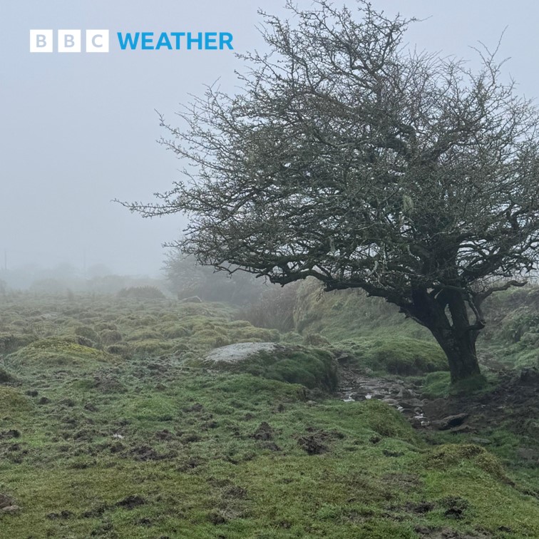 Warmer today but with the mild air comes mist and fog especially for western coasts and hills. Picture by BBC Weather Watcher Cyril Stratus from St Breward, Cornwall.