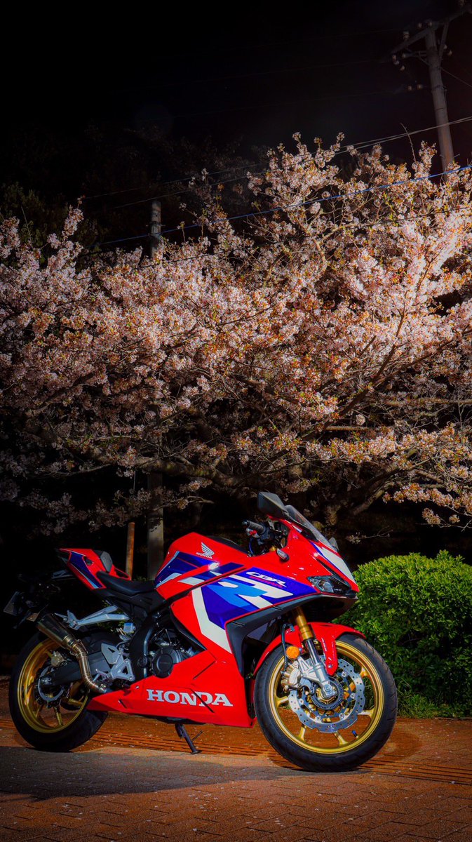 昨夜のナイツー編集した写真頂いたのでアップ(っ ॑꒳ ॑c)
 #ナイツー  #ツーリング  #cbr250rr  #hondamotorcycles  #hondaracing  #桜 #ライトアップ  #夜桜