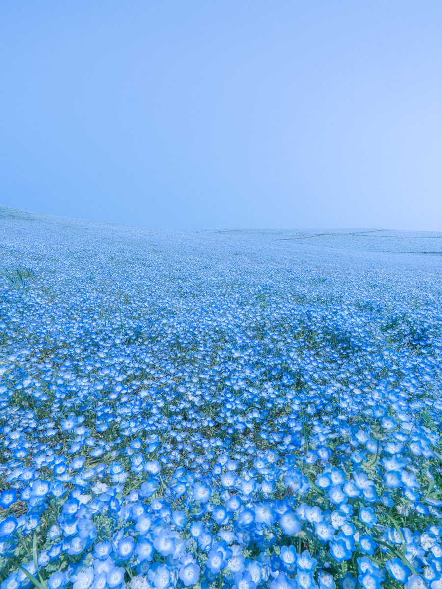 ほんとうに、海みたい。