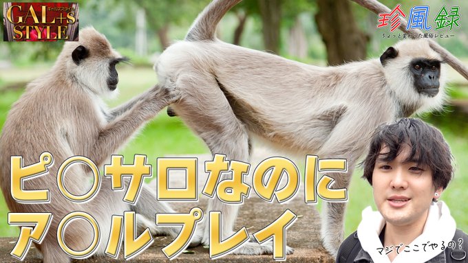 一万円企画本厚木をやったときに行ったピンサロが もはやM性感でアナルごりごりに責められました...  ピンサロの値段でM性感を体験できるのはマジでコスパ最強なんじゃないか？  https://t.co/1C8lp1BIuk
