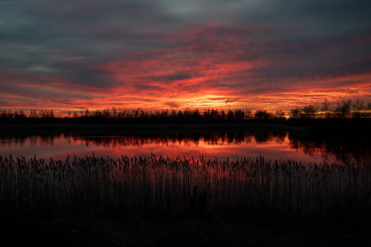 Get ready to immerse yourself in the enchanting symphony of nature on an exclusive Discover the Dawn Chorus event at #RSPBStAidans. 🐦🌿🎶 Experience the magic of the early morning as we unravel the secrets of the dawn chorus here: events.rspb.org.uk/events/69949 📸| @EffyImages