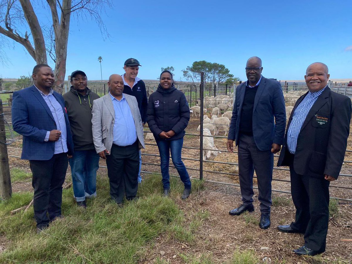 The launch of the Mohair Industry Support Programme has commenced with a site visit at the Driefontein Farm in Somerset East. #developingtheeasterncape