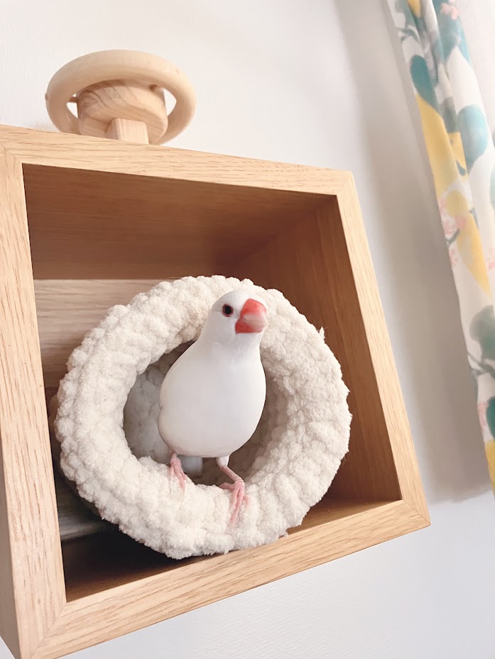 おやすみなのでいっぱい遊んだ