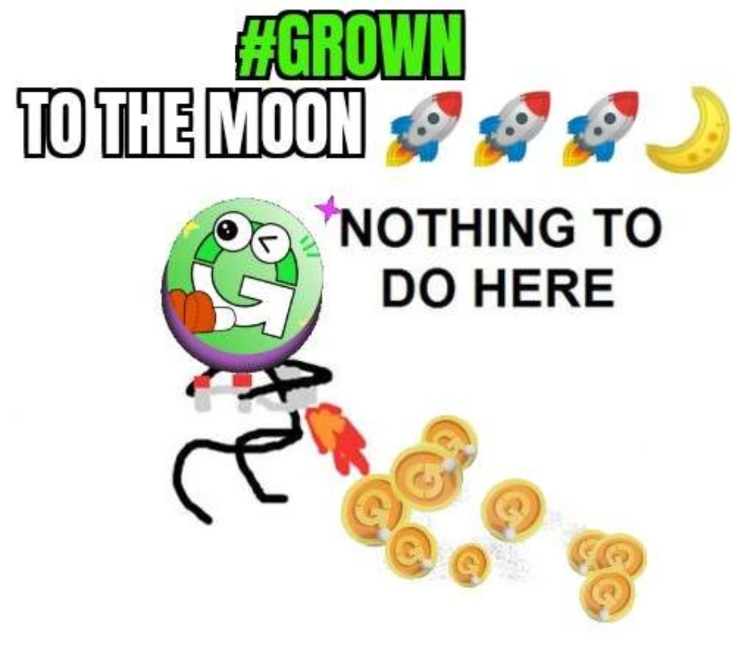 小金人 🐬TermMax tweet media