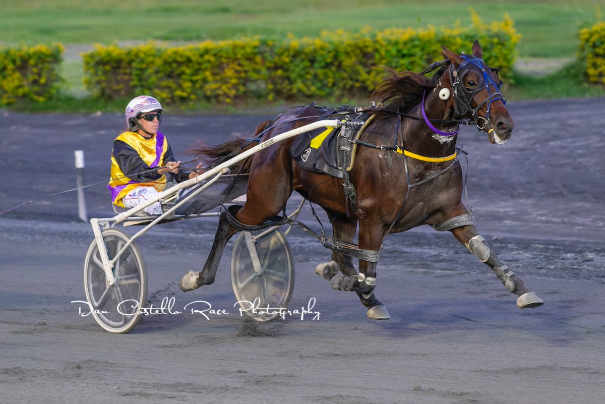 Race to race double for Alanah Richardson <a href="/alanahpitt/">alanahpitt</a> as she gets the <a href="/StudBurwood/">Burwood Stud</a>  sprint lane run with La Sabina to win the last for the day <a href="/redcliffe_hrc/">Redcliffe Harness Racing Club</a> for trainer David Rodger