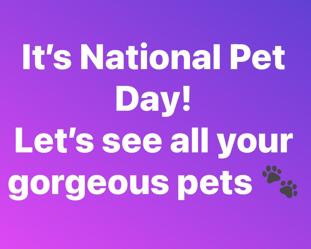 #NationalPetDay