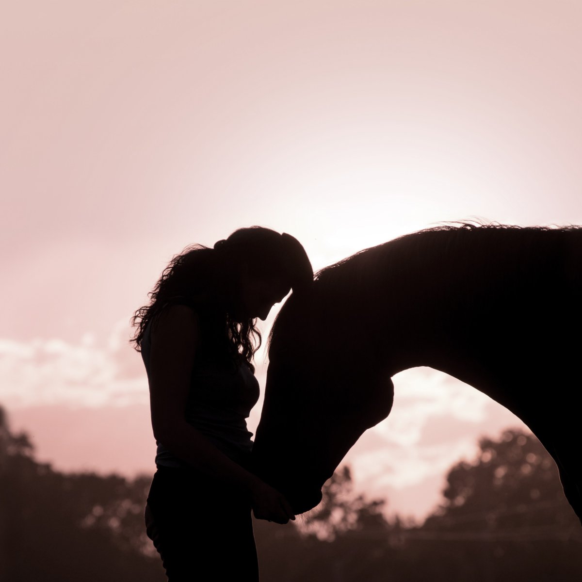 Today is National Pet Day! Let’s celebrate the special bond of people and horses enjoying life together 💞 Show your love by sharing a photo with your horse using #horsehumanbond 🐴📷 Tag three of your friends to do the same 🙏 #NationalPetDay