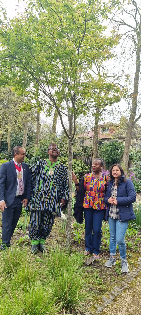 The Mayor of @Royal_Greenwich @DominicMbang fundraising coffee morning yesterday gave me the perfect opportunity to support the @thejavancokerf1 visit the memorial tree planted by @GreenwichAfric1 & give thanks, whilst taking in the lovely grounds at #CharltonHouse