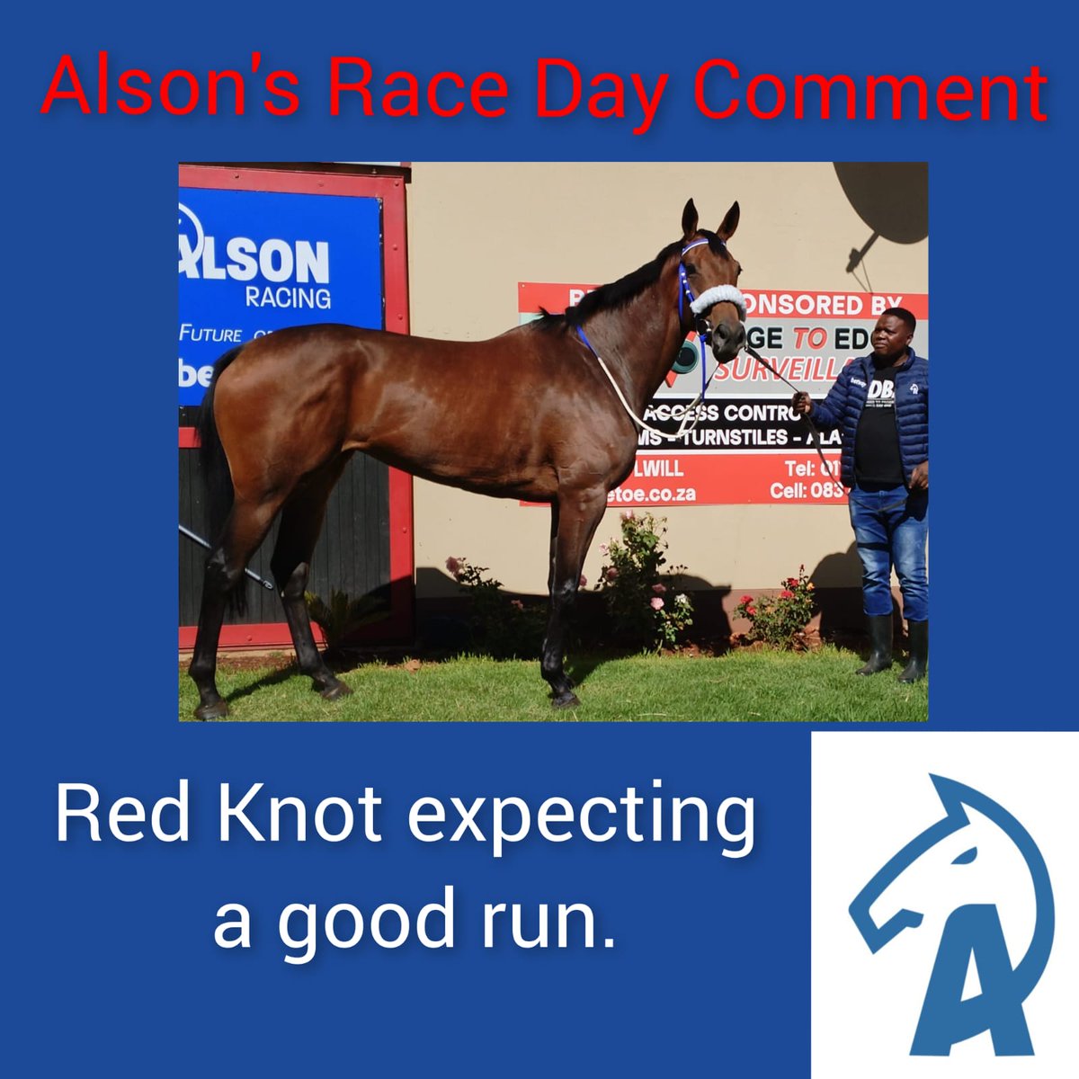 AlsonRacing's tweet photo. Race Day Comment 🏇 https://t.co/PSs5lOW3hO