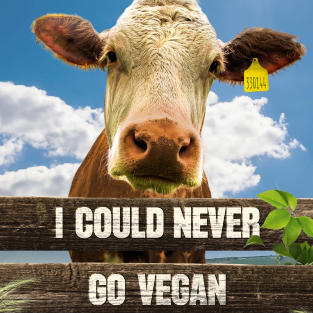🎥 Head up to @curzonoxford next Thurs 18 April to join @Oxford_NDPH for an exclusive screening of ‘I Could Never Go Vegan’. The event is free & food will be provided, with drinks behind a cash bar. 🍕 Find out more & register by tomorrow, 12 April 👉 buff.ly/49ZPSPJ