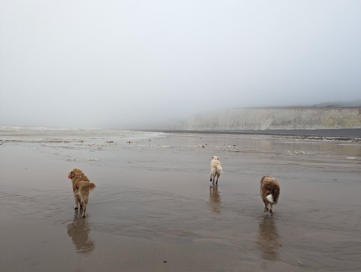More beach fun this morning...this time in the mist and drizzle!