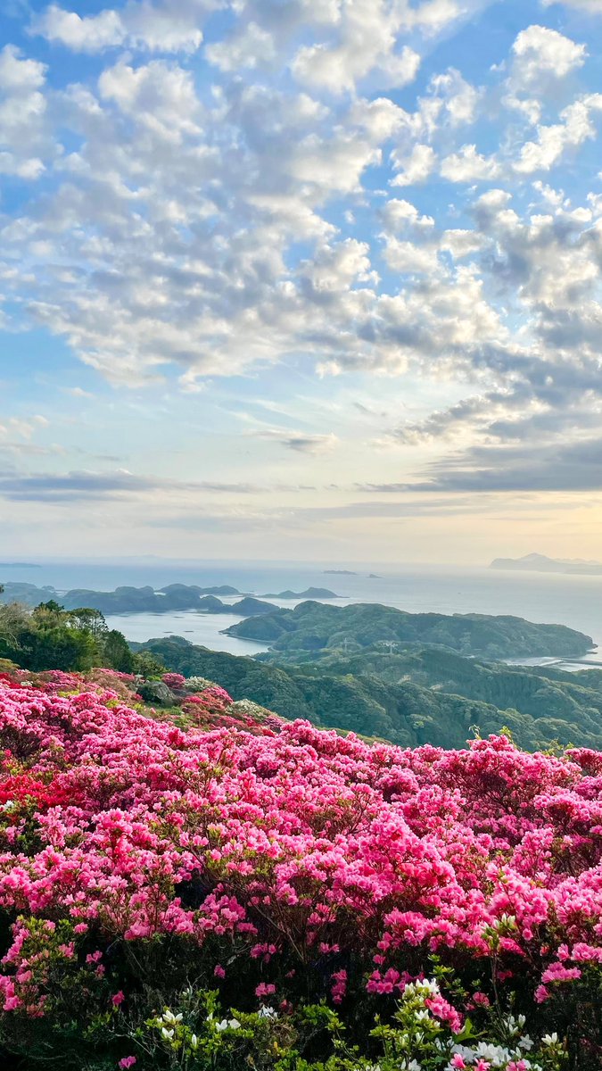 背景、ツツジの山から。