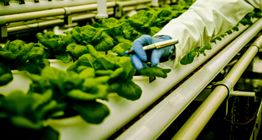 The Future of Food: Innovations in Sustainable Agriculture

thesiliconreview.com/2024/04/the-fu…

#futureoffood #thesiliconreview #innovations #sustainable #sustainableagriculture #food #foodandbeverages #farming