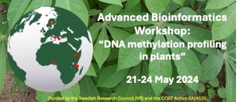 Join! Third Advanced Bioinformatics Workshop 21-24 May – an opportunity to be part of a #GlobalCommunity of #scientists working towards a #SustainableFuture Runs in seven cities across Europe and Africa. @bongcam @IITA_CGIAR Funder: @Vetenskapsradet iitabioinformatics.org/EpiCass3