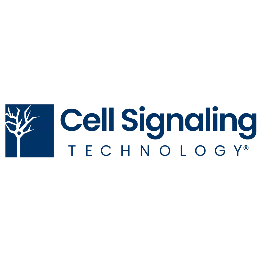 Move your #neurodegenerativedisease discovery forward with Cell Signaling Technology (CST) offerings. Visit the booth at #neurizons2024 and learn how custom solutions from CST can be tailored to your individual needs. cst-science.com/wmkb8e