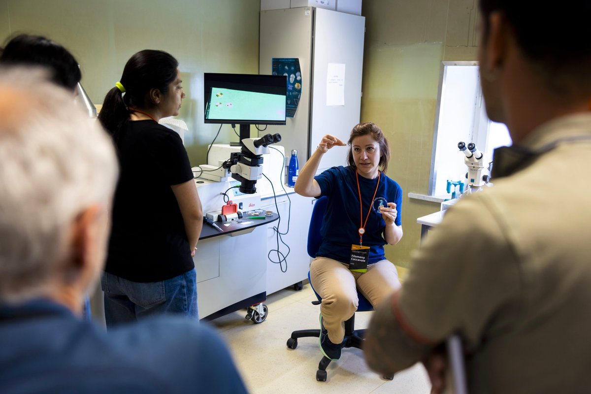 This week’s EMBO Lecture Course 'Imaging Marine Organisms Across Scales” in Naples brought together marine & cell biologists & microscopists interested in unveiling the morphology of marine organisms using multimodal imaging.

meetings.embo.org/event/24-marin…

#EMBOmarineImaging #EMBLtrec