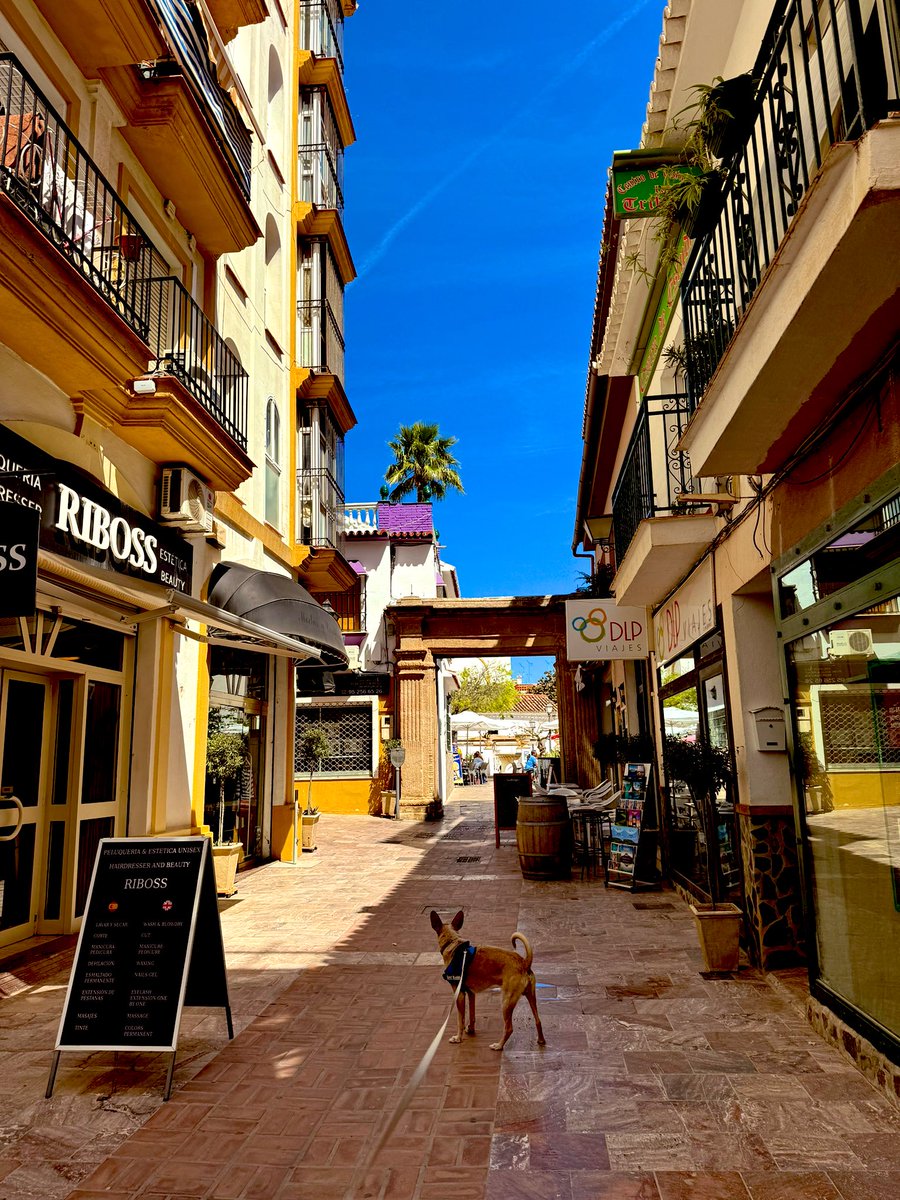 Yma an howl ow splanna omma hedhyw yn Spayn. Pur lowen yw ow hi. 

The sun is shining here in Spain today. My dog is very happy. 

#spayn #españa #podenco #sun #soleil #kernewek #kernow