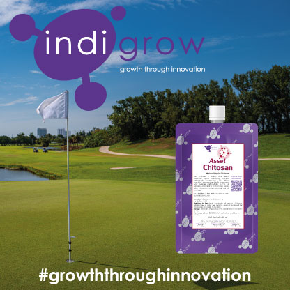 Asset Chitosan is derived from sustainable organic bio-polymers which help increase plant health. It supplies available carbohydrates to the turf to help the plant retain much needed energy. Discover more: indigrow.com/product/asset-… #greenkeeping #turf