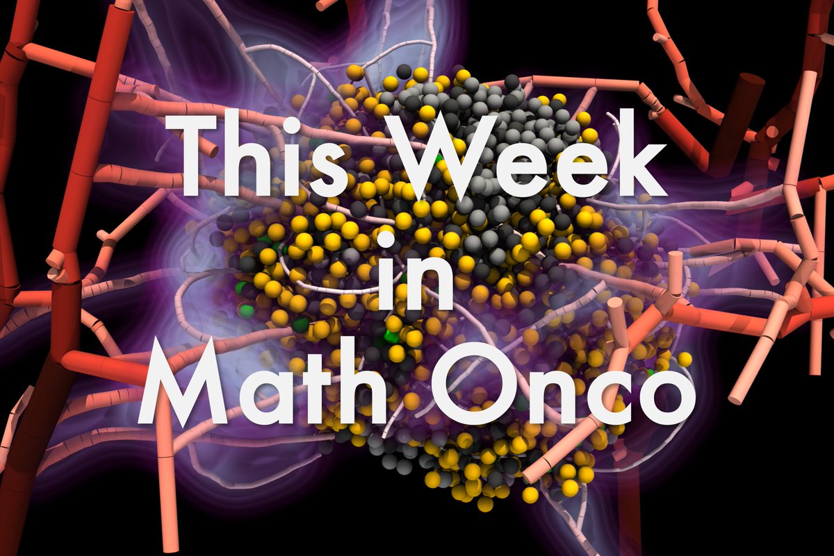 This week in #MathOnco 291:
Mutational order, angiogenesis, metastasis, optimal control, spatial architecture, and more.

Art: 
Tobias Duswald, Ernesto A.B.F. Lima, J. Tinsley Oden, Barbara Wohlmuth 😎💯

Subscribe:
mathematical-oncology.org/newsletter