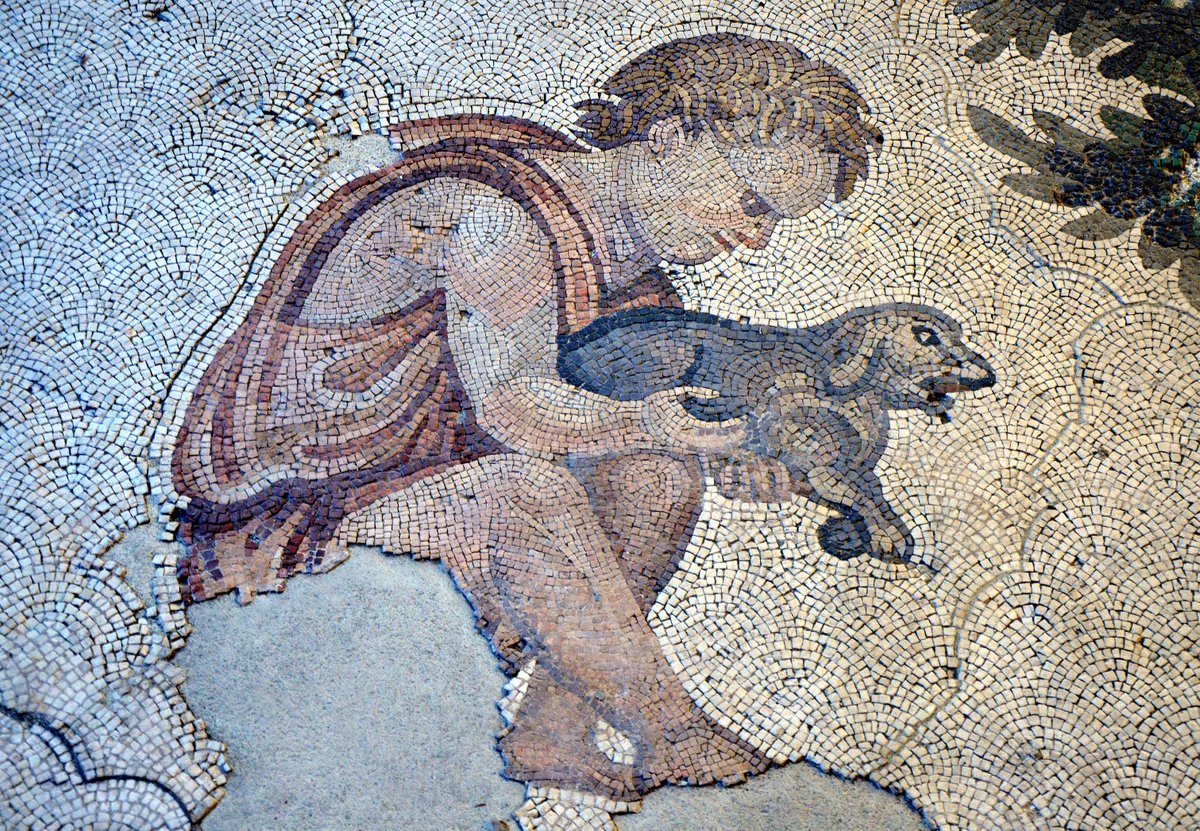 #NationalPetDay - Mosaic detail showing a child with a puppy. Dated to the 6th century AD. Great Palace Mosaic Museum, Istanbul.