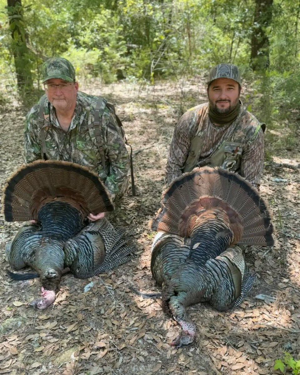 The Felder crew is on a roll! Congrats on your Osceola Toms! 1,2, BOOM!! 
♦️BOOKING FOR 2025♦️

#turkeyhunting #turkeyseason #RidgeRockHuntCompany