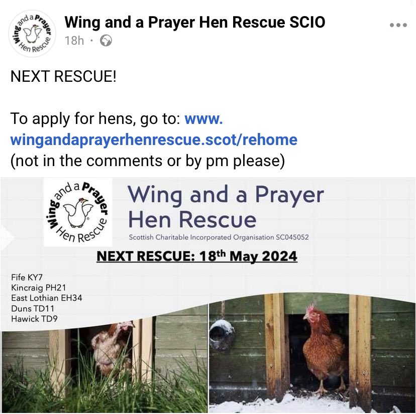 Next rescue - 18th May! Reserve your hens via the website.