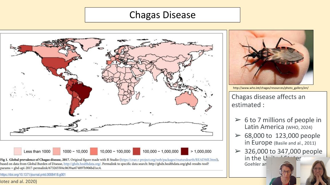 And we are live! #ISNTDConnect today with Dr Marina Gold @MundoSano & Elise Rapp @HESAVLausanne sharing where the knowledge & research gaps are to better tackle congenital #Chagas disease ahead of ambitious 2030 goals. Please join us with this direct link: tinyurl.com/mkxm6cu2