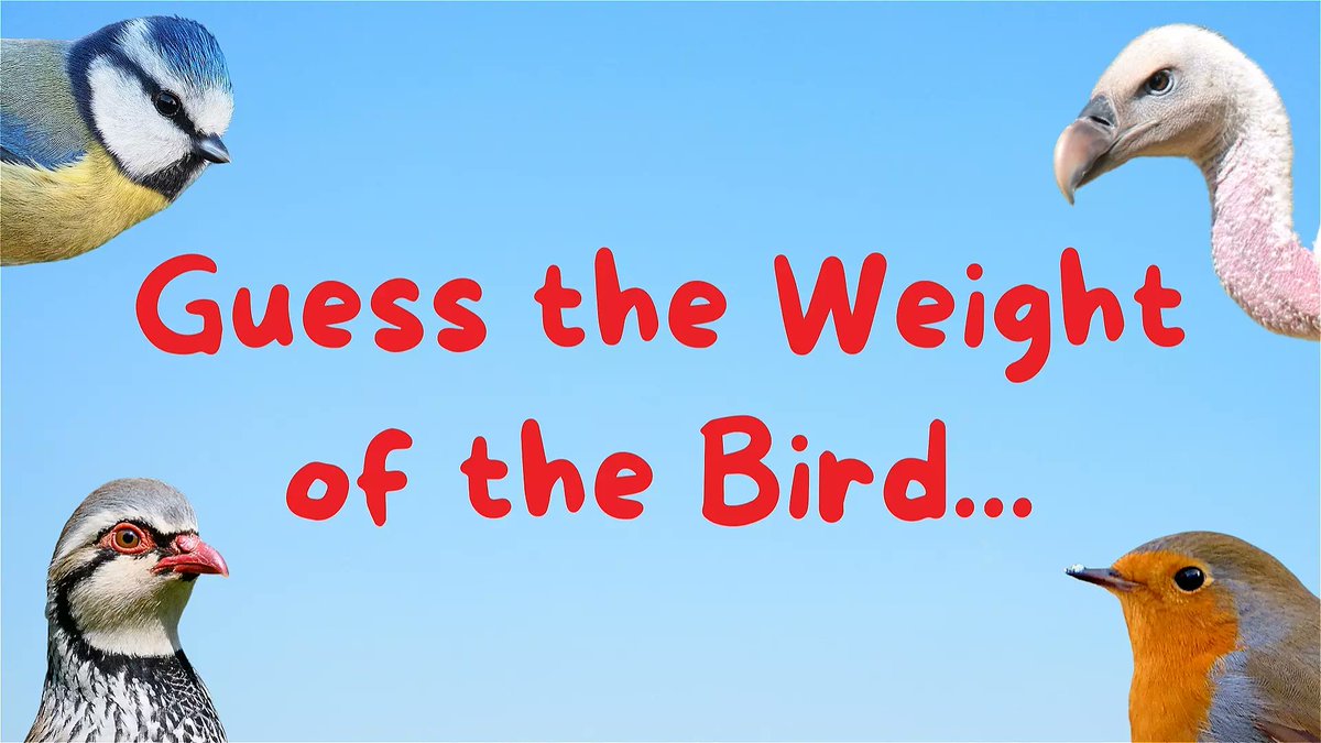 Nice to see someone at @brightonfringe giving people the chance to profit by an ability to guess the weight of birds. 'It’s a bit like Who Wants To Be A Millionaire but all the questions are about birds and the prize is £999,990 smaller. Sorry about that.' brightonfringe.org/events/guess-t…