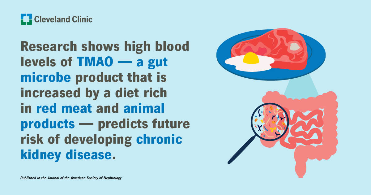 TMAO is a byproduct formed by gut bacteria digesting nutrients found in red meat, eggs and other animal products. New research finds high levels of TMAO in the blood predicts the future risk of developing chronic kidney disease. Learn more: cle.clinic/4aqA3So