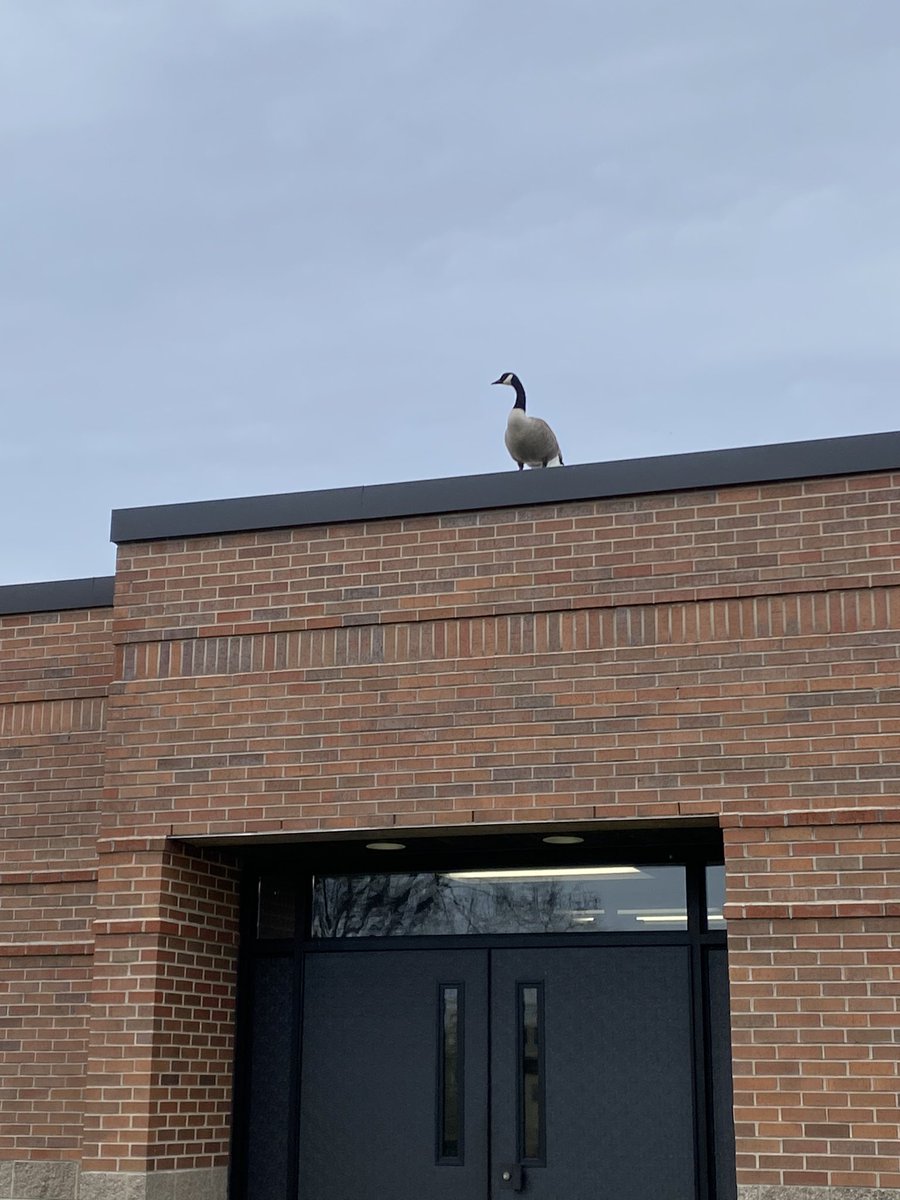 Salt Creek PTO tweet media