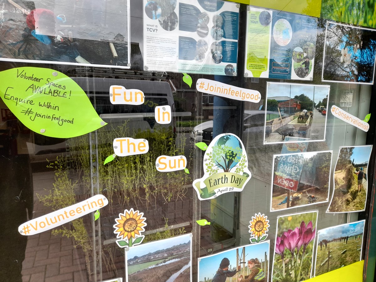 With Earth Day🌎 approaching, we have unleashed a pop of colour in our window.🌻🌷🪻 #JoinInFeelGood
