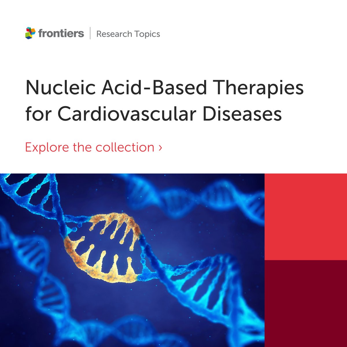 Proudly Presenting “Nucleic Acid-Based Therapies for Cardiovascular Diseases” Open-Access article collection hosted by Andrea Caporali, Fabio Martelli, and Paras Kumar Mishra 🫀 Explore the collection here👉frontiersin.org/research-topic… #RNAtherapeutics #CardiovascularTreatment