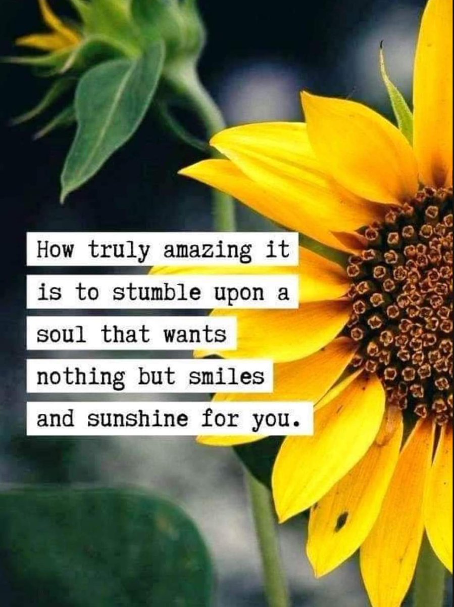 🌻🌻🌻❤❤