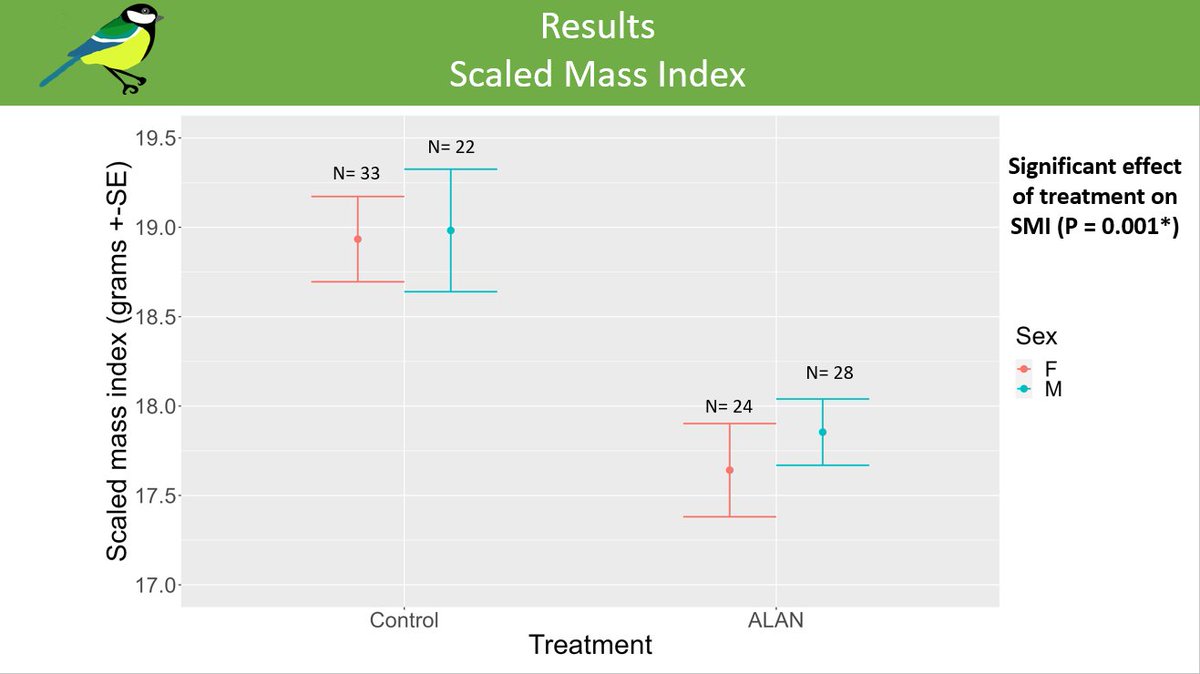 #BOU2024 #Sesh7. Preliminary Results!  #greattits exposed to the ALAN had significantly lower SMI than the control group so were in poorer condition.
This could be due to the nestlings expending more energy at night with the parents unable to compensate with more food. (5/6)