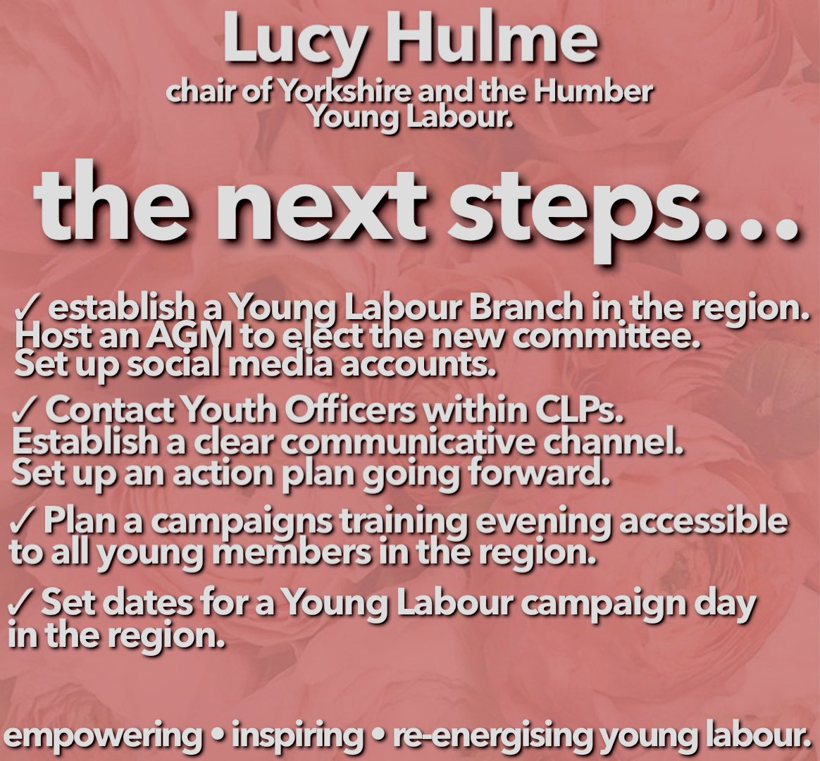 The next steps for Young Labour in Yorkshire and the Humber. I want to ensure that members are regularly updated on the work being undertaken by their representatives. Work is going on behind the scenes to ensure that my pledges become a reality. Excited to get started🌹