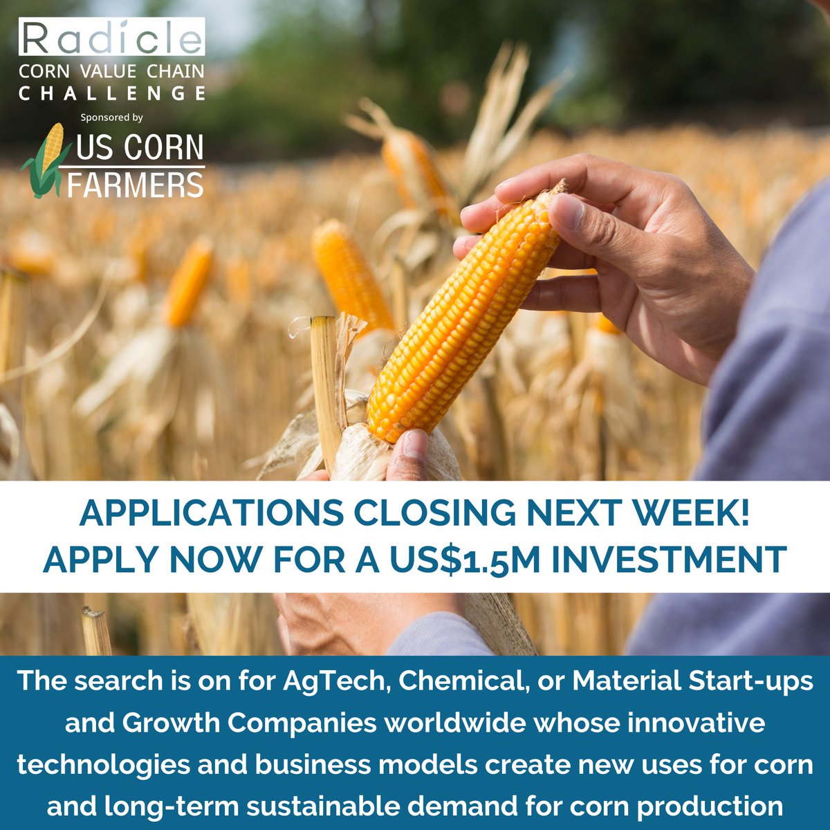 'The Radicle Corn Value Chain Challenge sponsored by US Corn Farmers' APPLY HERE: radicle.vc/the-radicle-co… Deadline to apply: April 19th, 2024. @COgrown @iowa_corn @kscorn @TheRealKyCorn @NationalCorn