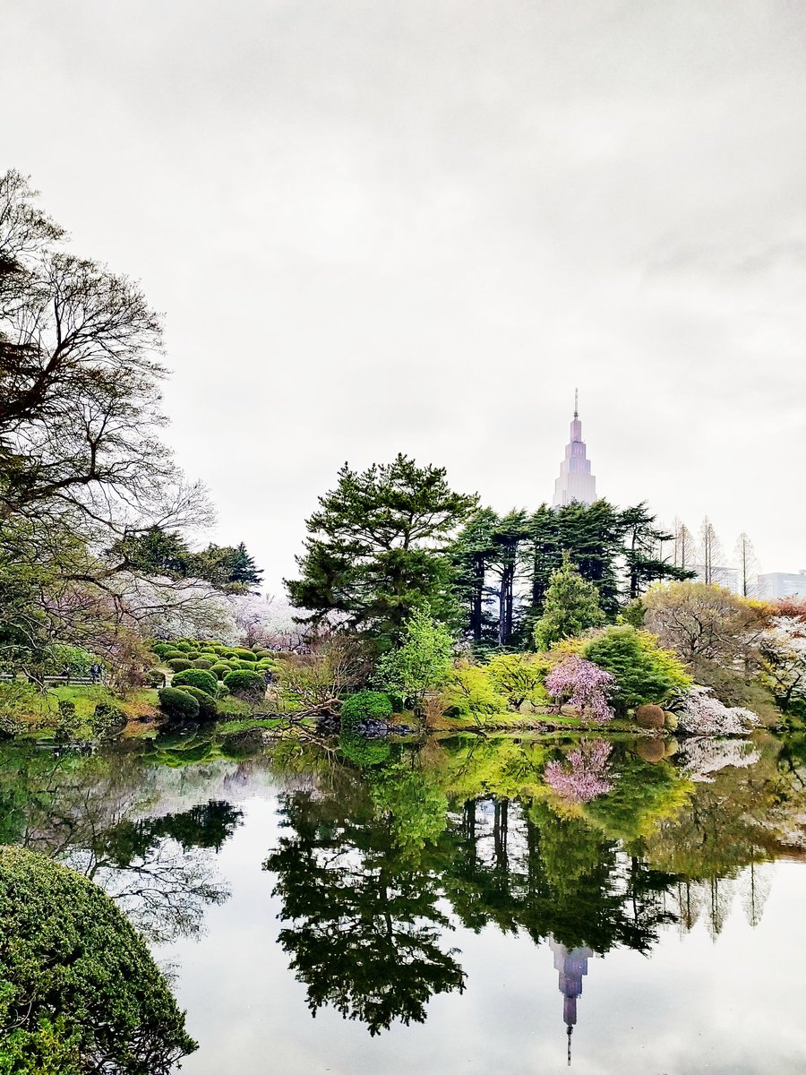 薄曇りの空も悪くないよね。