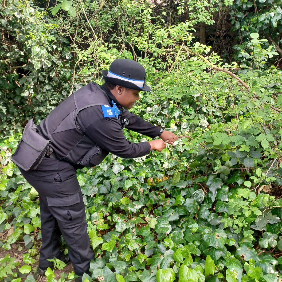 Your local ward officers are out & about on the ward today, offering reassurance to our residents. When it comes to a weapon sweep, we dont beat about the bushes! No weapons were found this time. If you see us come say hello 👋 #DobbinClose #NatureTrail #KeepingYouSafe
