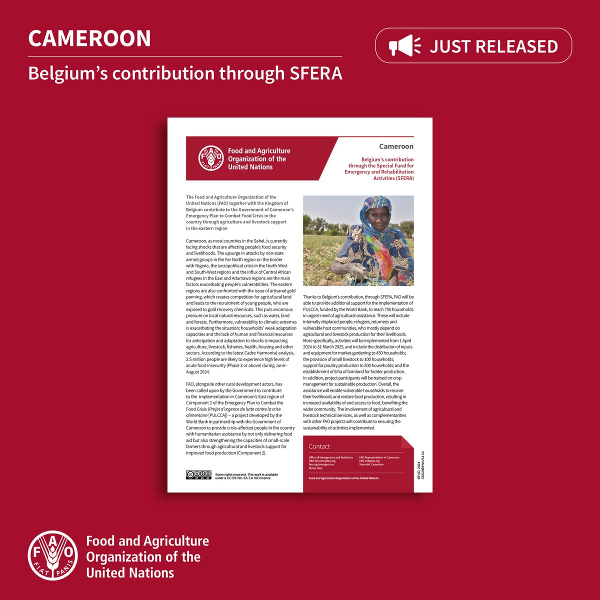 Cameroon, as most countries in the Sahel, is currently facing shocks that are affecting people’s food security & livelihoods. Thanks to @BelgiumMFA funding, @FAO will provide time-critical agricultural inputs to 750 households in need of urgent support. bit.ly/4aw0AOb
