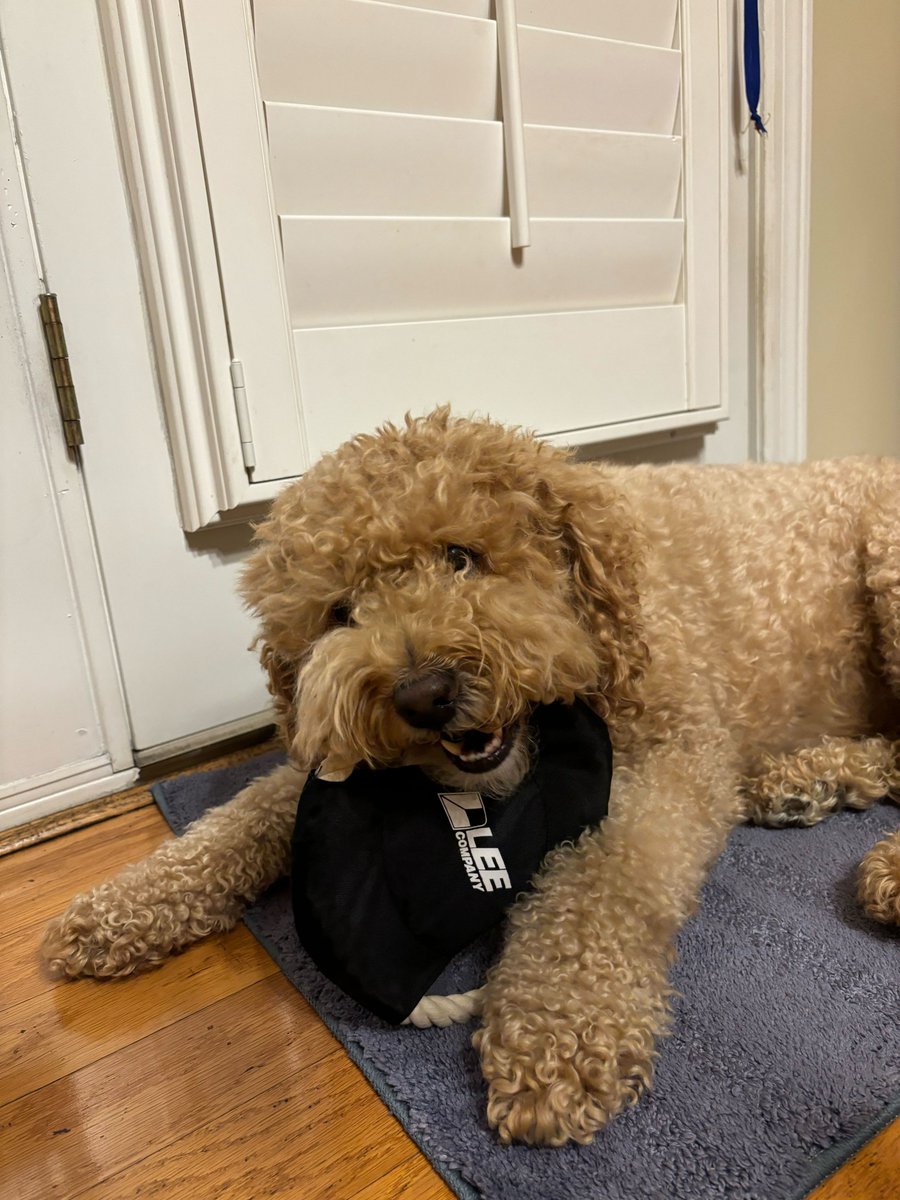 Happy #NationalPetDay!! ❤️