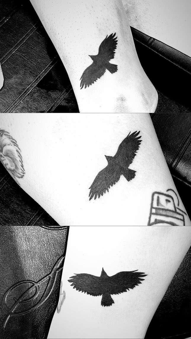 vicky 🇨🇦 tweet media