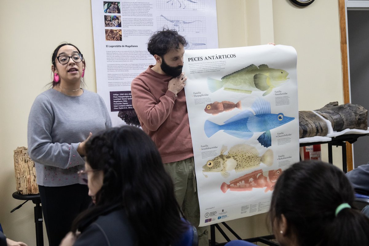 🇨🇱🇦🇶❄️🐟🐡 Nueva lámina educativa invita a descubrir los peces de la Antártica 😱 INACH en colaboración con @MilenioBASE y el @CentroIDEAL_CL presentó este recurso educativo que representa a más del 70% de estos animales inach.cl/nueva-lamina-e…