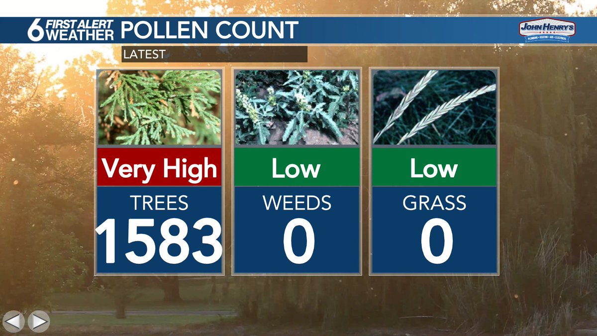 The tree pollen count has shot up in to the quadruple digits this morning. Tons of ash, cottonwood and juniper floating around out there.