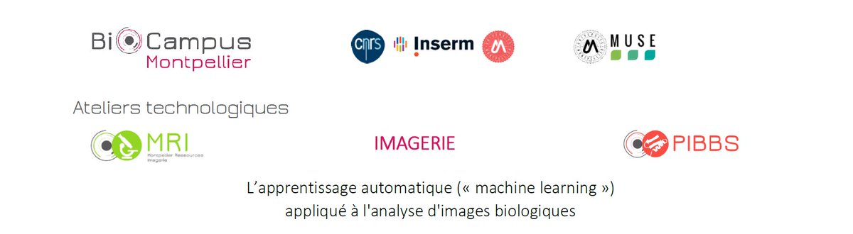 La plateforme <a href="/MRI_Montpellier/">MRI</a> de <a href="/BiocampusMontp/">BioCampus</a>  propose un atelier technologique.
Inscription: biocampus.cnrs.fr/index.php/fr/a…