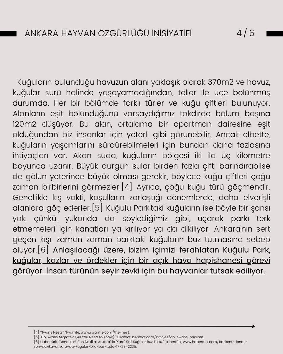 AVeganlar's tweet photo. Kuğulu Park: Ankara'nın Açık Hava Hayvan Hapishanesi 

"Bizim içimizi ferahlatan Kuğulu Park, kuğular, kazlar ve ördekler için bir açık hava hapishanesi görevi görüyor. İnsan türünün seyir zevki için bu hayvanlar tutsak ediliyor."

Metnin tamamı👇 https://t.co/twmZP7yNwj